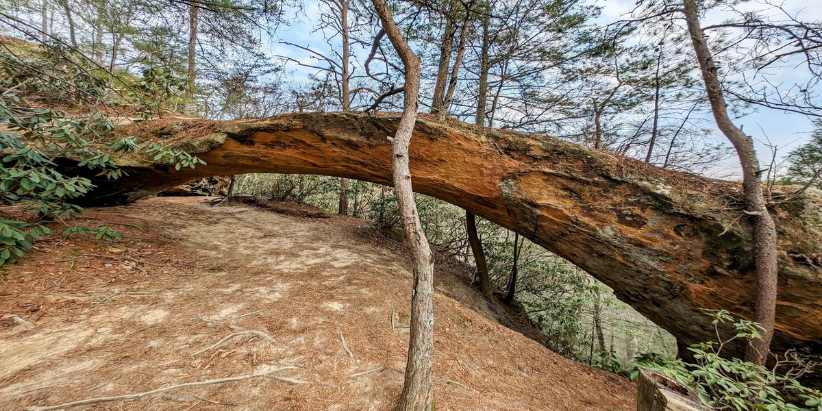 mysteries-of-kentuckys-sheltowee-trace