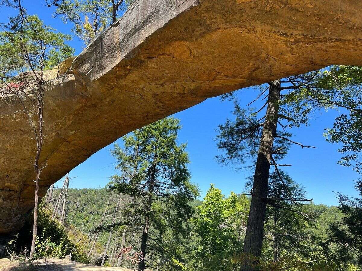 mysteries-of-kentuckys-sky-bridge-trails