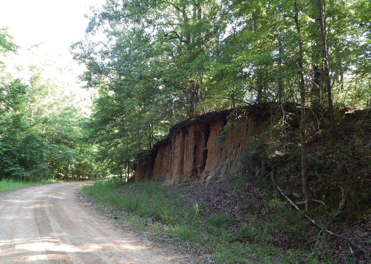 mysteries-of-louisianas-catahoula-trails