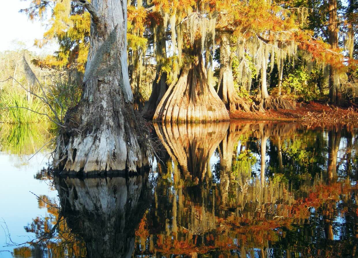 Mysteries-Of-Louisiana8217s-Chicot-State-Park-Caves mysteries-of-louisianas-chicot-state-park-caves