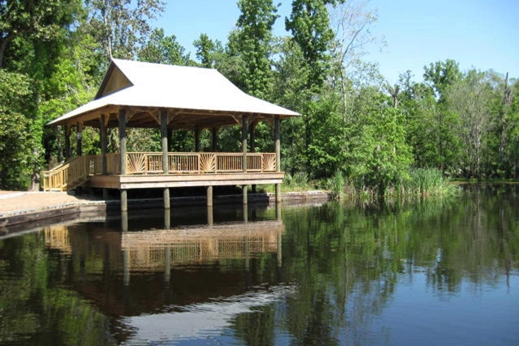 mysteries-of-louisianas-palmetto-island-trails