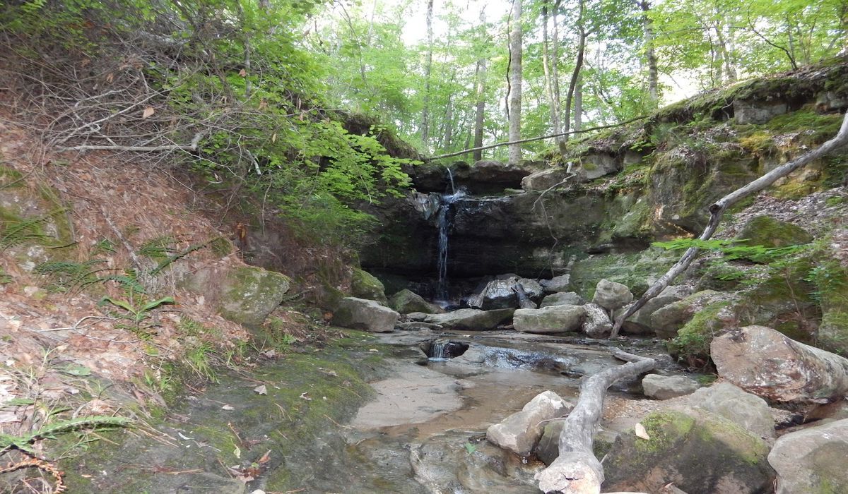 mysteries-of-louisianas-sicily-island