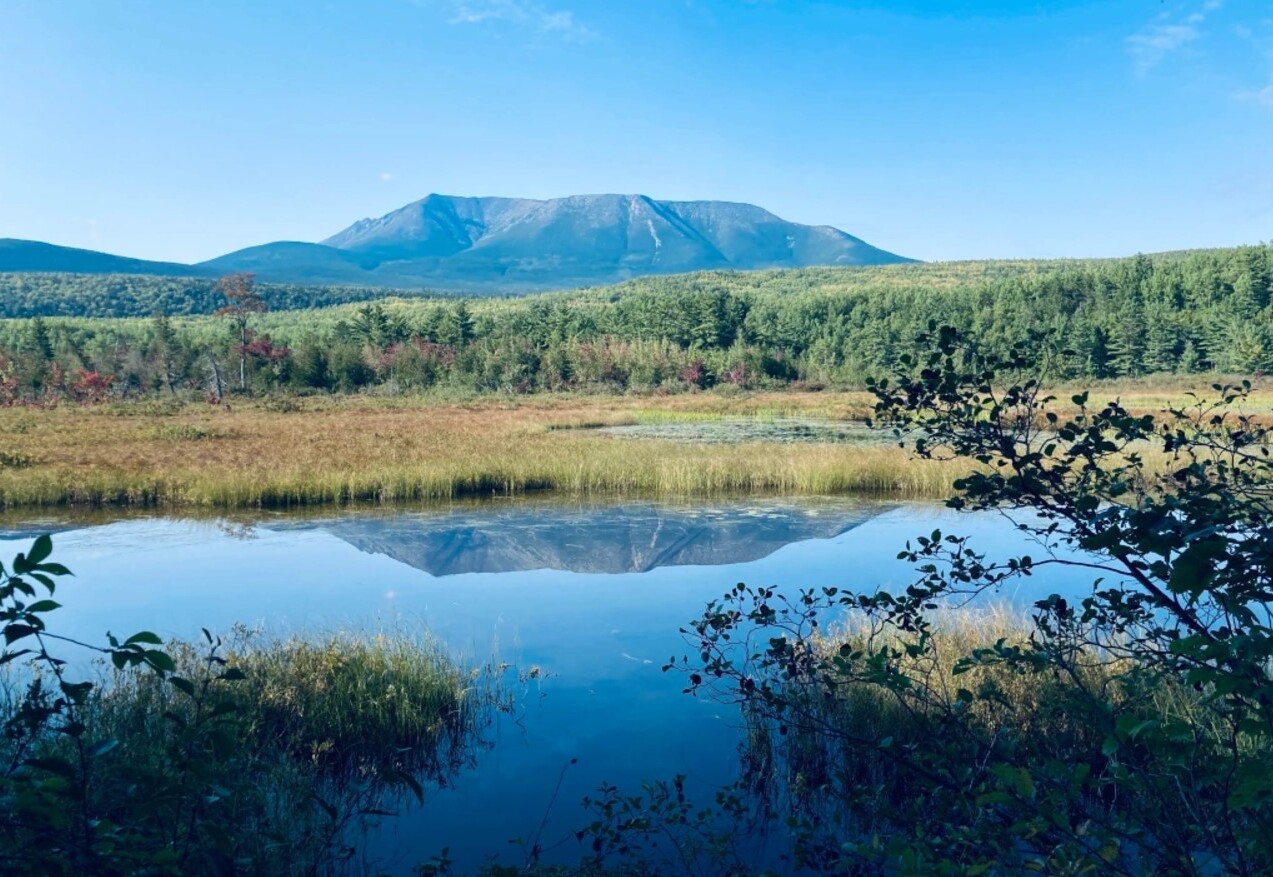 Mysteries-Of-Maine8217s-Baxter-Woods-Pools mysteries-of-maines-baxter-woods-pools