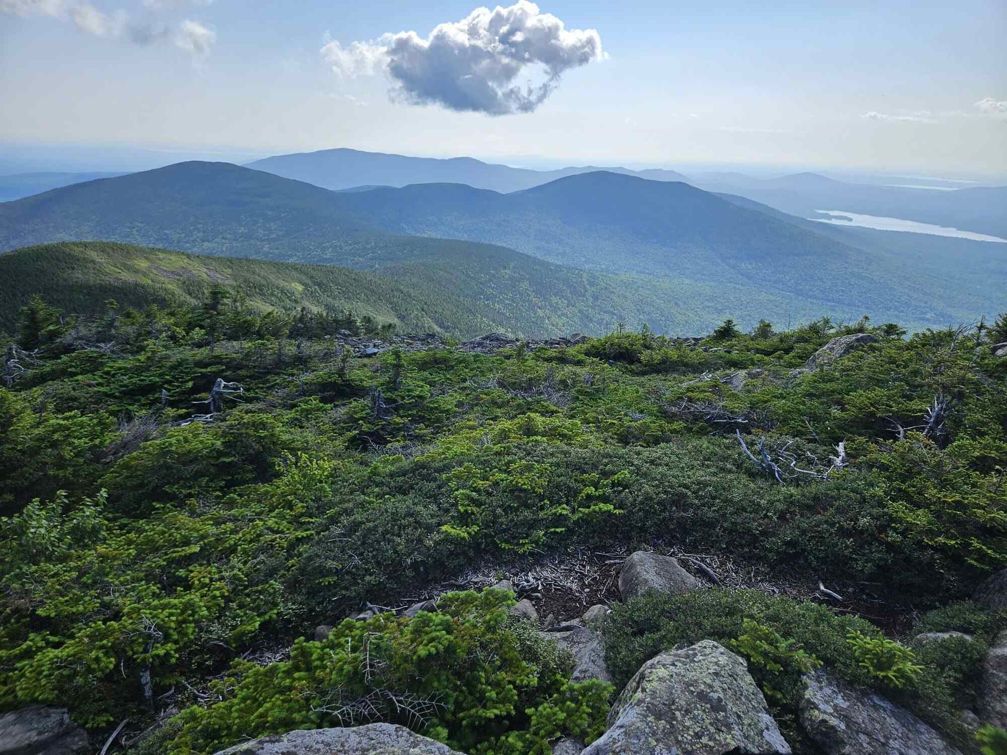 Mysteries-Of-Maine8217s-Hundred-Mile-Forest-Paths mysteries-of-maines-hundred-mile-forest-paths