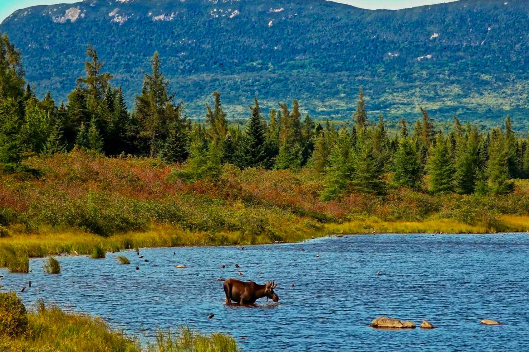 mysteries-of-maines-moosehead-lake-region