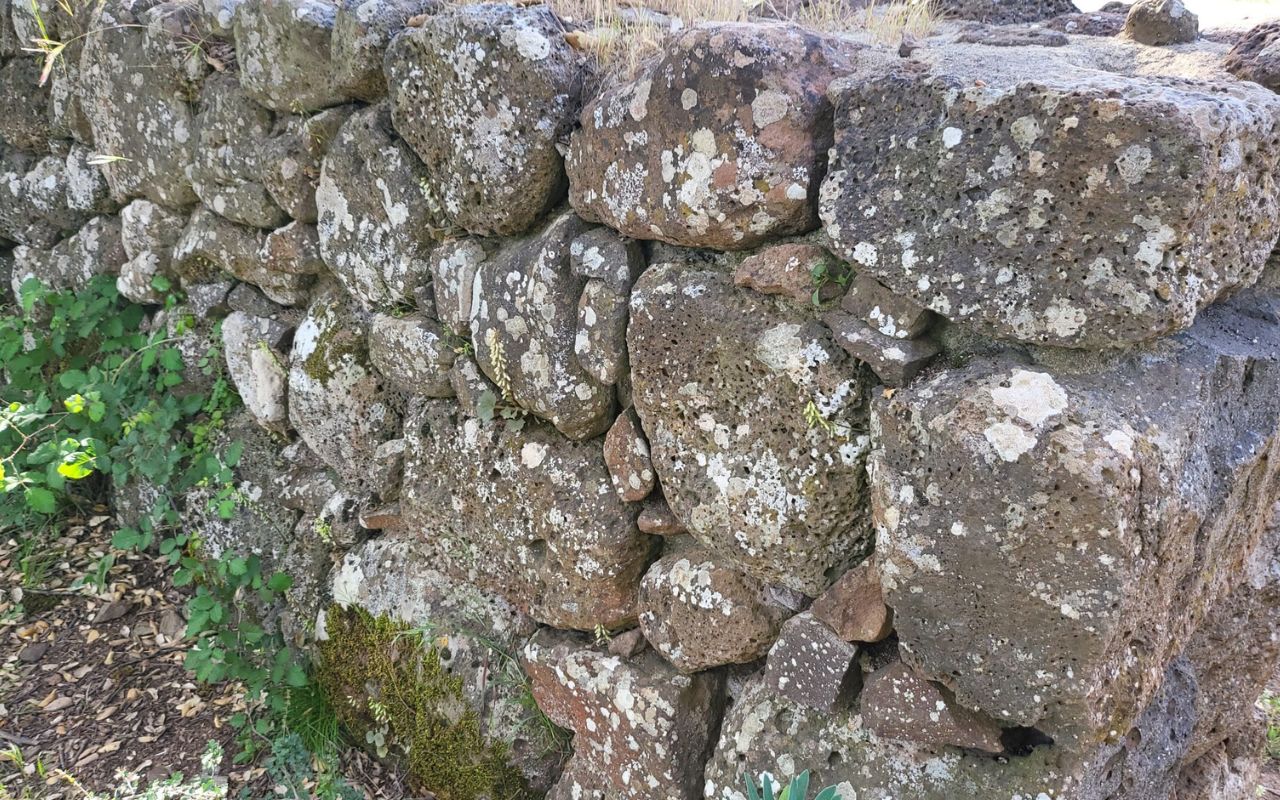 Mysteries-Of-Maine8217s-Stone-Walls mysteries-of-maines-stone-walls