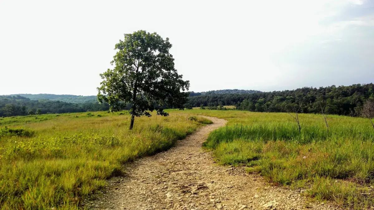 mysteries-of-marylands-soldiers-delight-trails