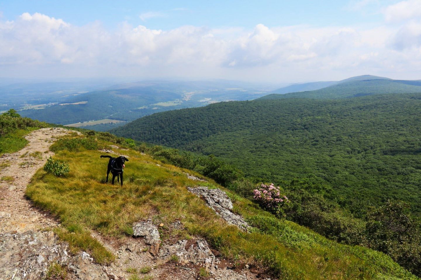 mysteries-of-massachusetts-berkshires-trails