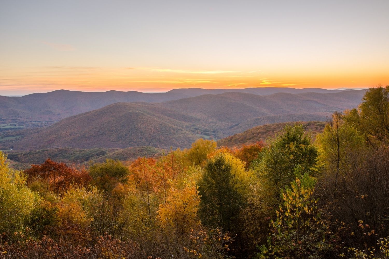 Mysteries-Of-Massachusetts8217-October-Mountain mysteries-of-massachusetts-october-mountain