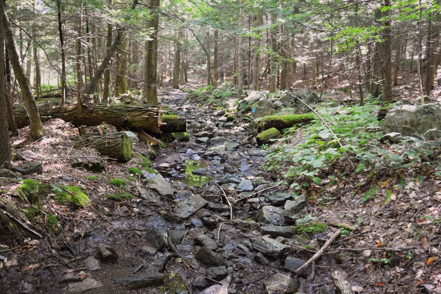 mysteries-of-massachusetts-october-mountain-ruins
