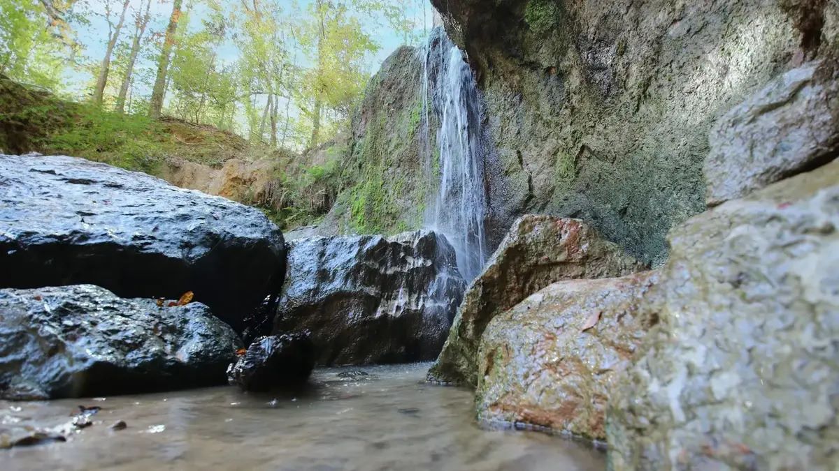 mysteries-of-mississippis-clark-creek