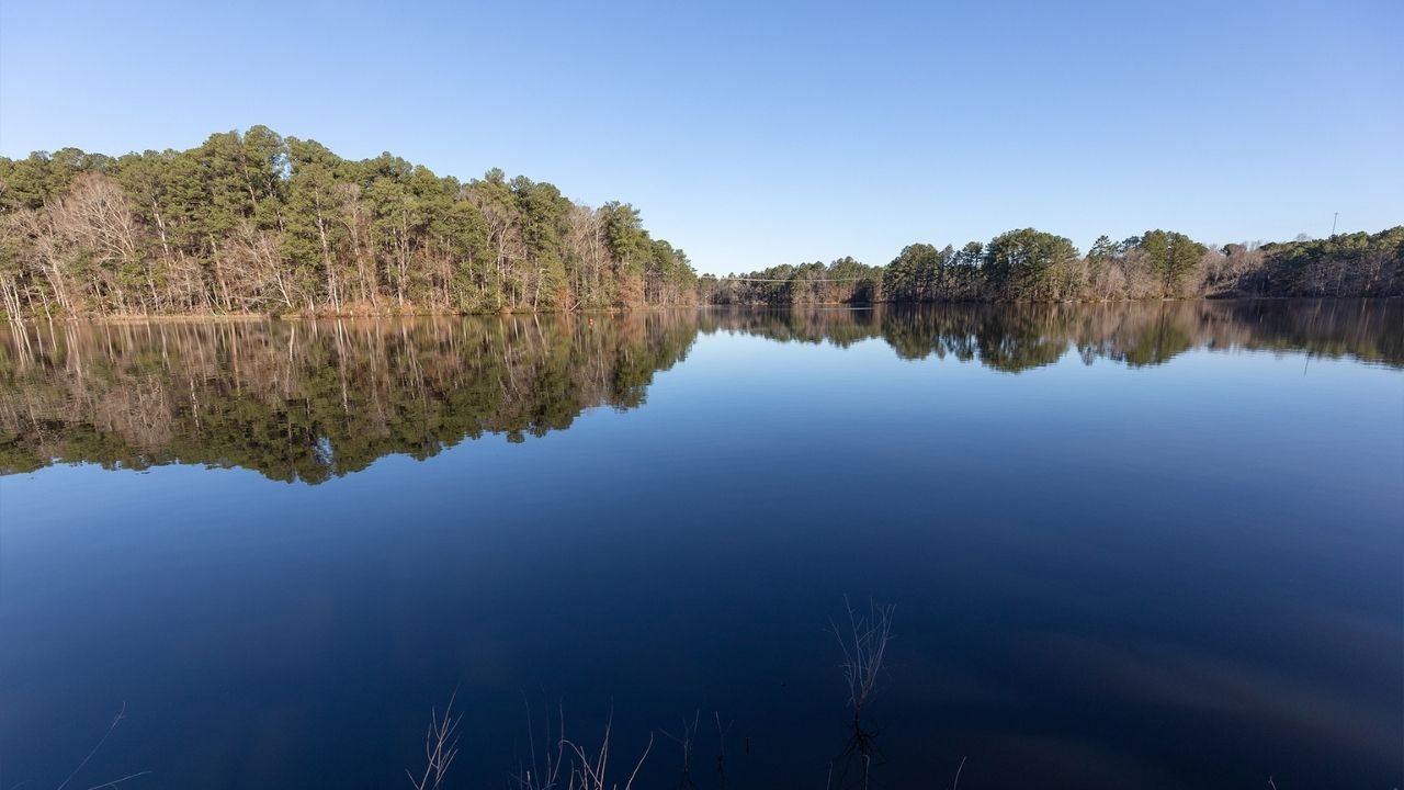 Mysteries-Of-Mississippi8217s-Legion-Lake mysteries-of-mississippis-legion-lake