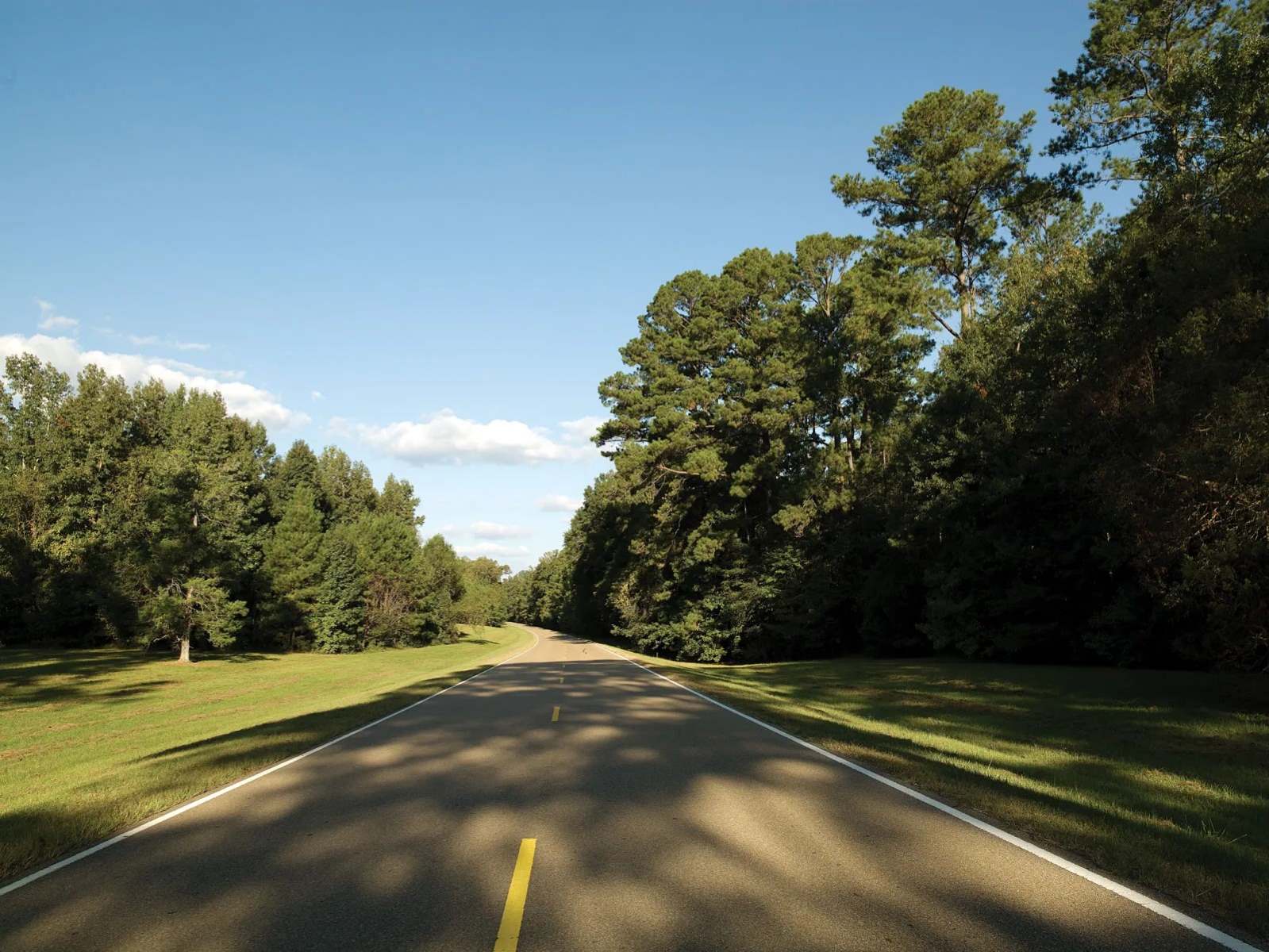 Mysteries-Of-Mississippi8217s-Natchez-Trace-Paths mysteries-of-mississippis-natchez-trace-paths
