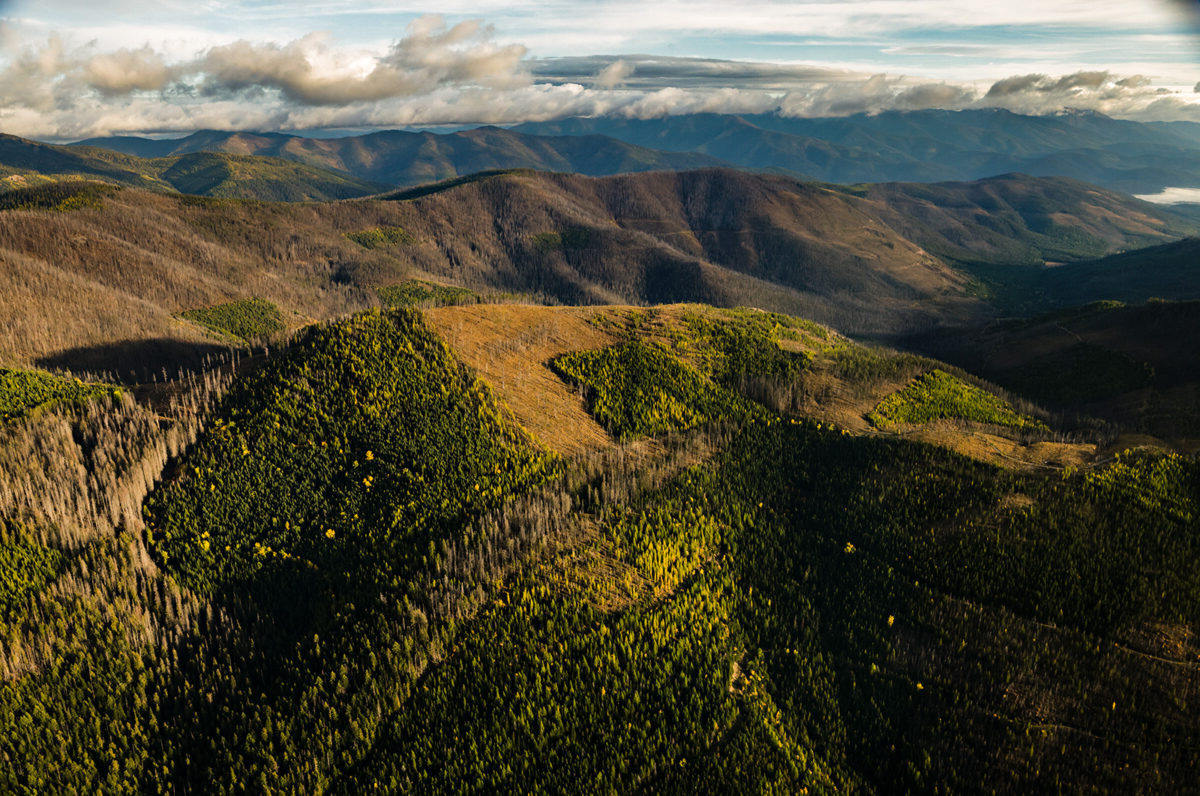 mysteries-of-montanas-yaak-valley