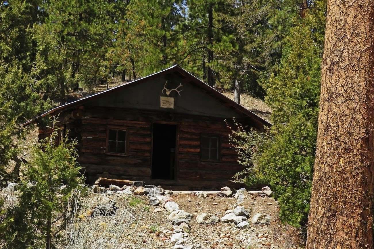 Mysteries-Of-Nevada8217s-Hidden-Spring-Woods mysteries-of-nevadas-hidden-spring-woods