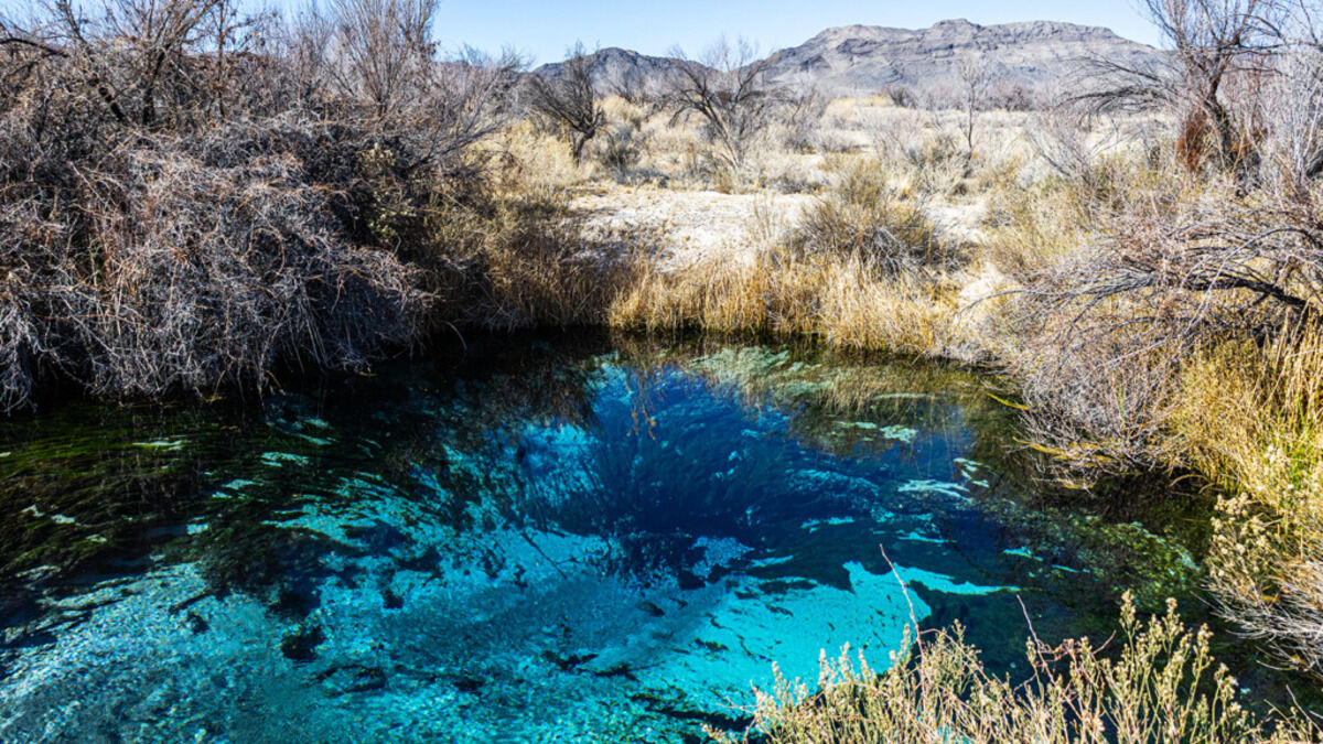 Mysteries-Of-Nevada8217s-Monitor-Pools mysteries-of-nevadas-monitor-pools