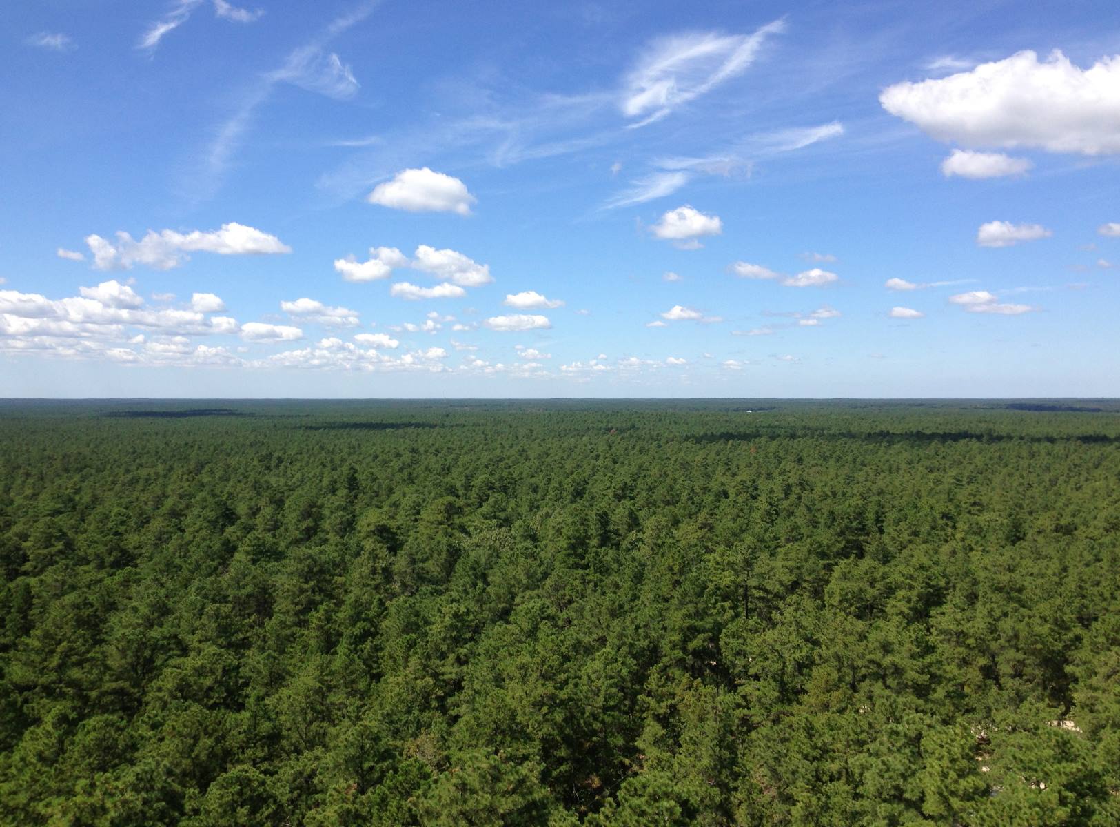 Mysteries-Of-New-Jersey8217s-Pine-Barrens mysteries-of-new-jerseys-pine-barrens