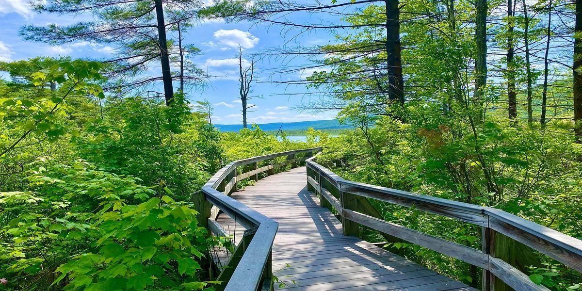 Mysteries-Of-New-York8217s-Labrador-Hollow mysteries-of-new-yorks-labrador-hollow