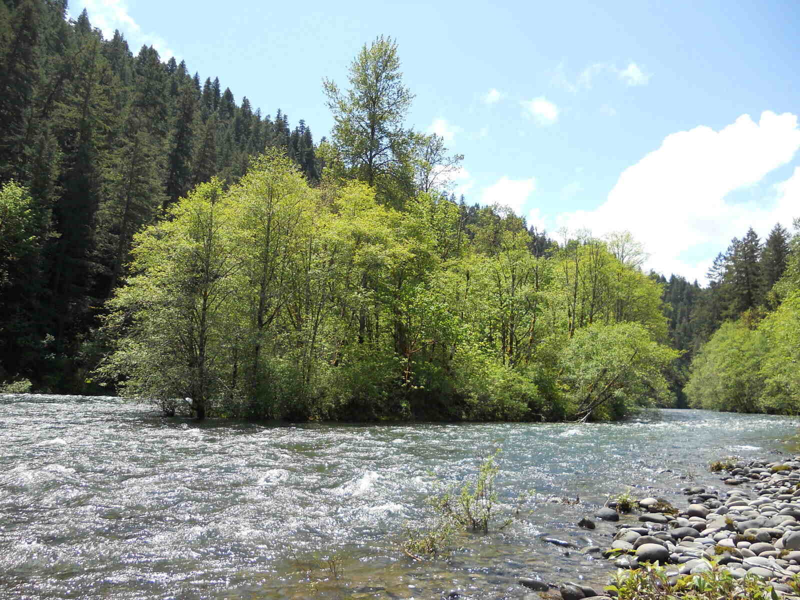 mysteries-of-oregons-mckenzie-waters