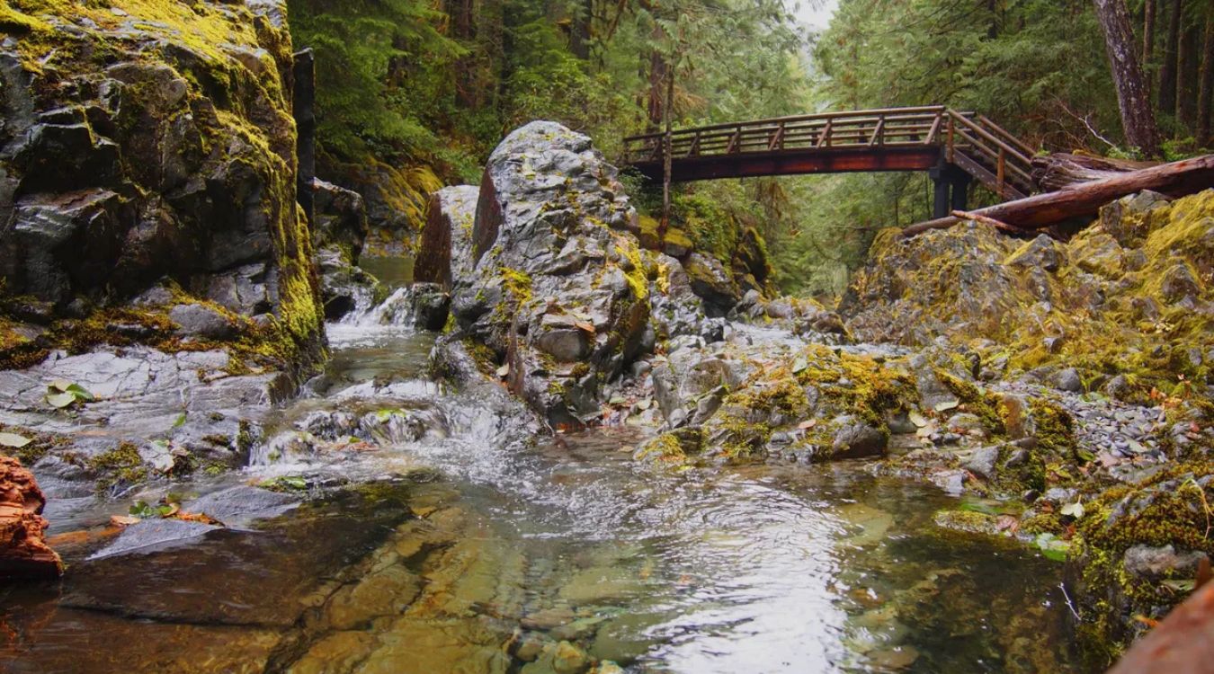 mysteries-of-oregons-opal-creek-forest-temples