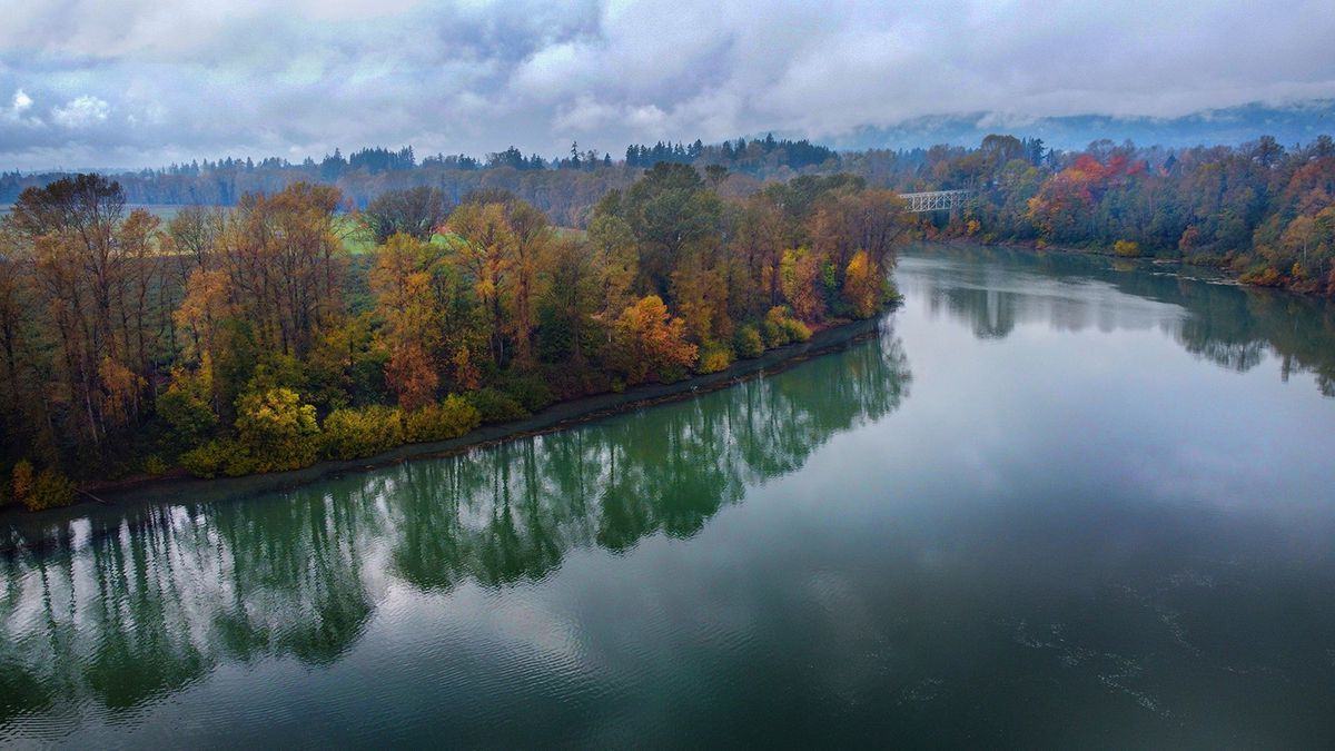 Mysteries-Of-Oregon8217s-Willamette-Waters mysteries-of-oregons-willamette-waters