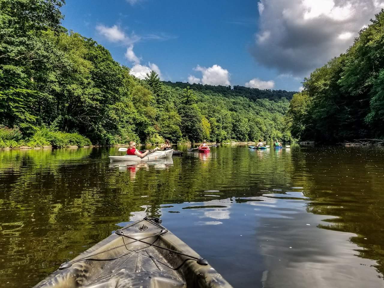 mysteries-of-pennsylvanias-cook-forest