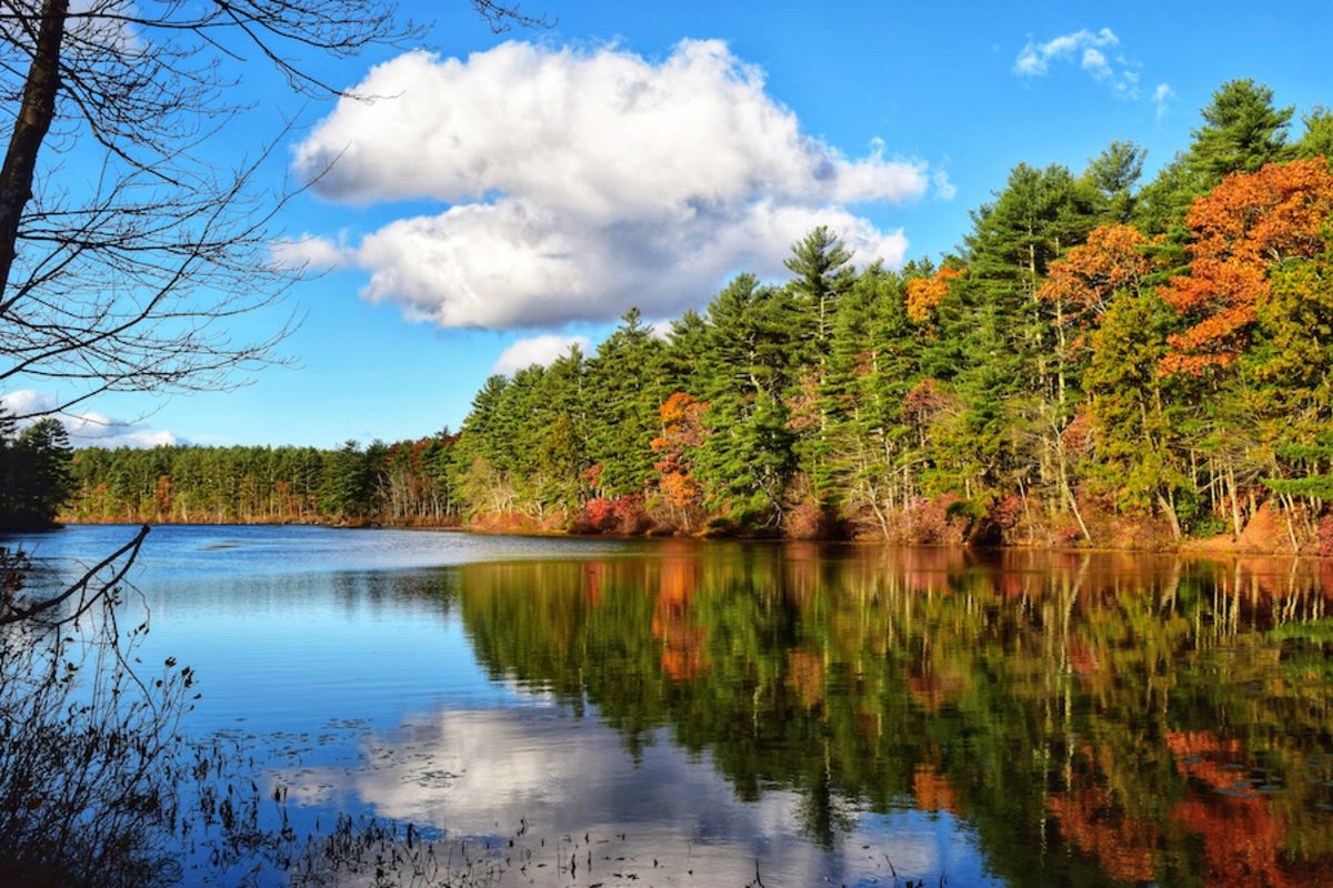 Mysteries-Of-Rhode-Island8217s-Carr-Pond-Lakes mysteries-of-rhode-islands-carr-pond-lakes