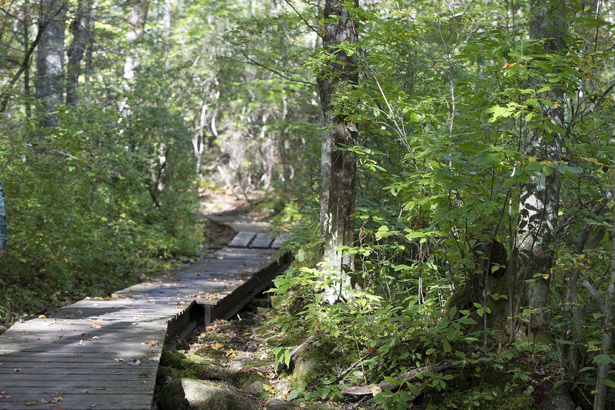 Mysteries-Of-Rhode-Island8217s-Weetamoo-Woods mysteries-of-rhode-islands-weetamoo-woods