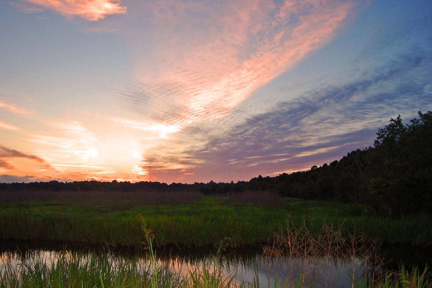mysteries-of-south-carolinas-santee