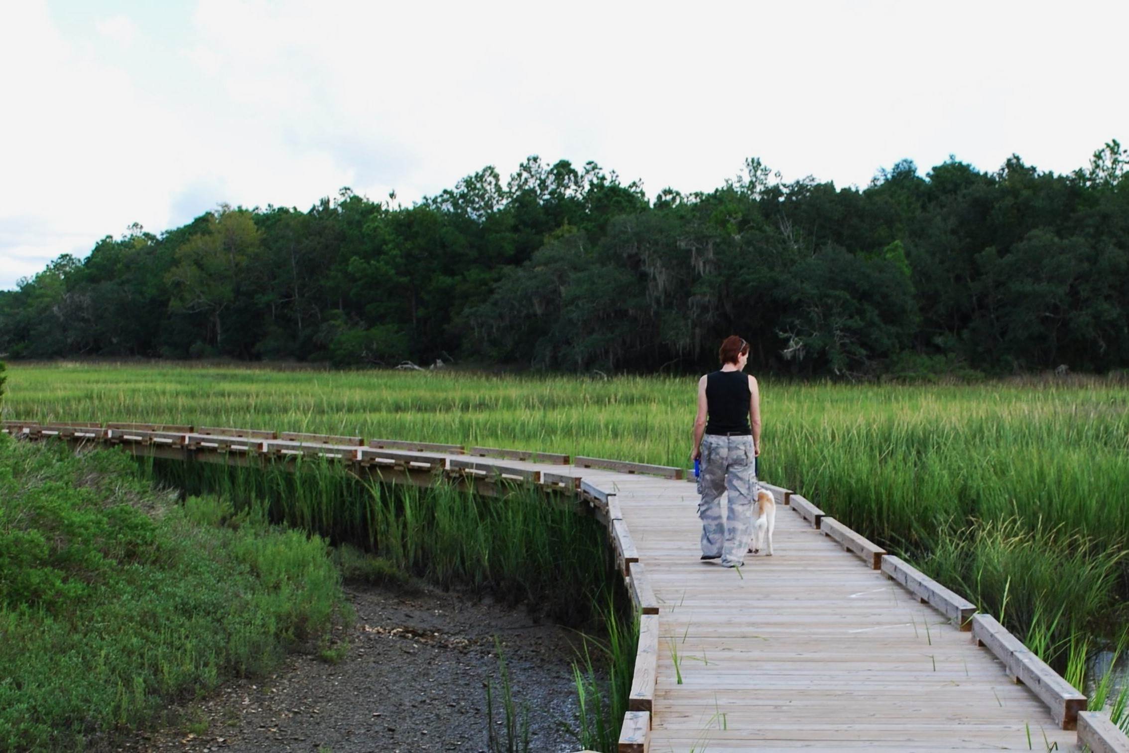 mysteries-of-south-carolinas-sewee-shell-ring