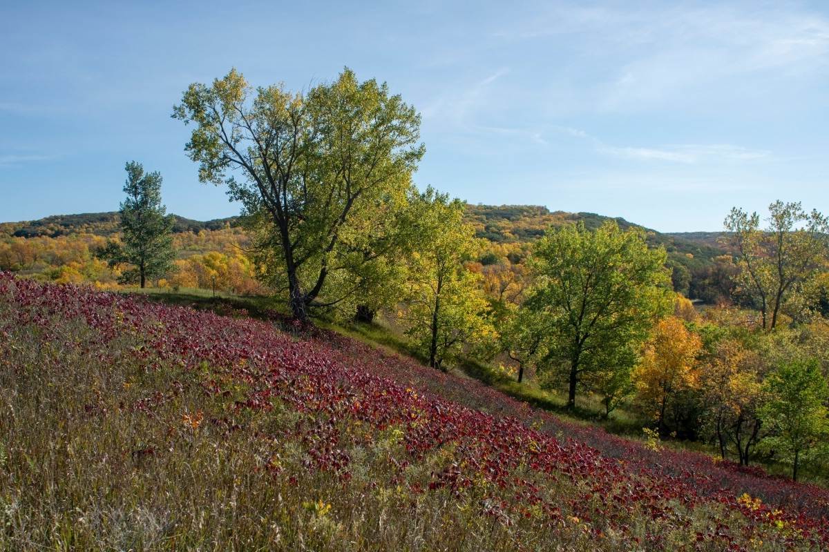 Mysteries-Of-South-Dakota8217s-Sica-Hollow-Paths mysteries-of-south-dakotas-sica-hollow-paths