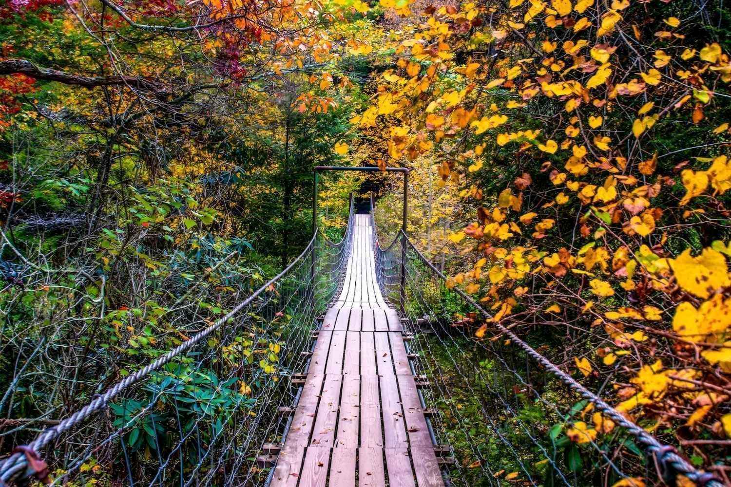 mysteries-of-tennessees-fall-creek-paths