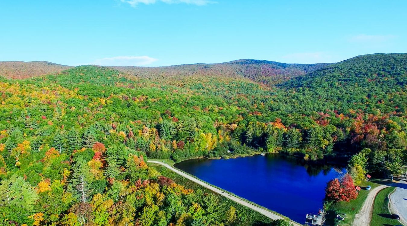 mysteries-of-the-green-mountain-forest