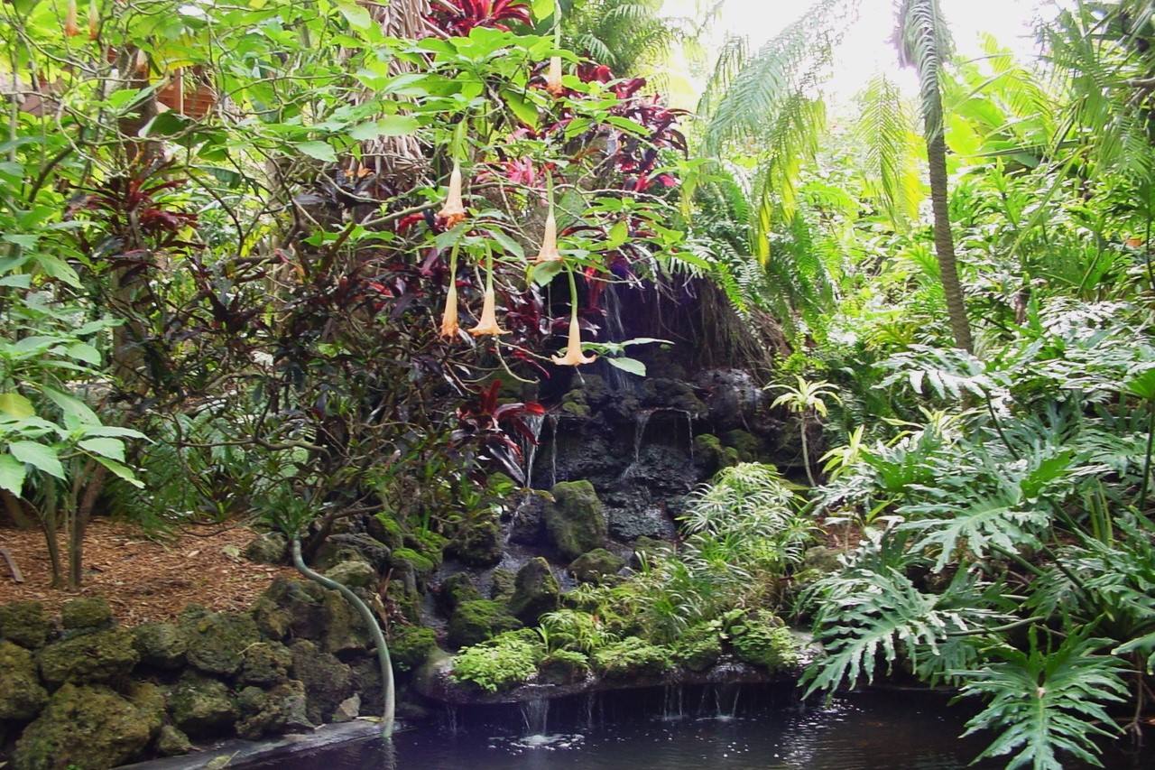 mysteries-of-the-sunken-gardens-in-floridas-crystal-river