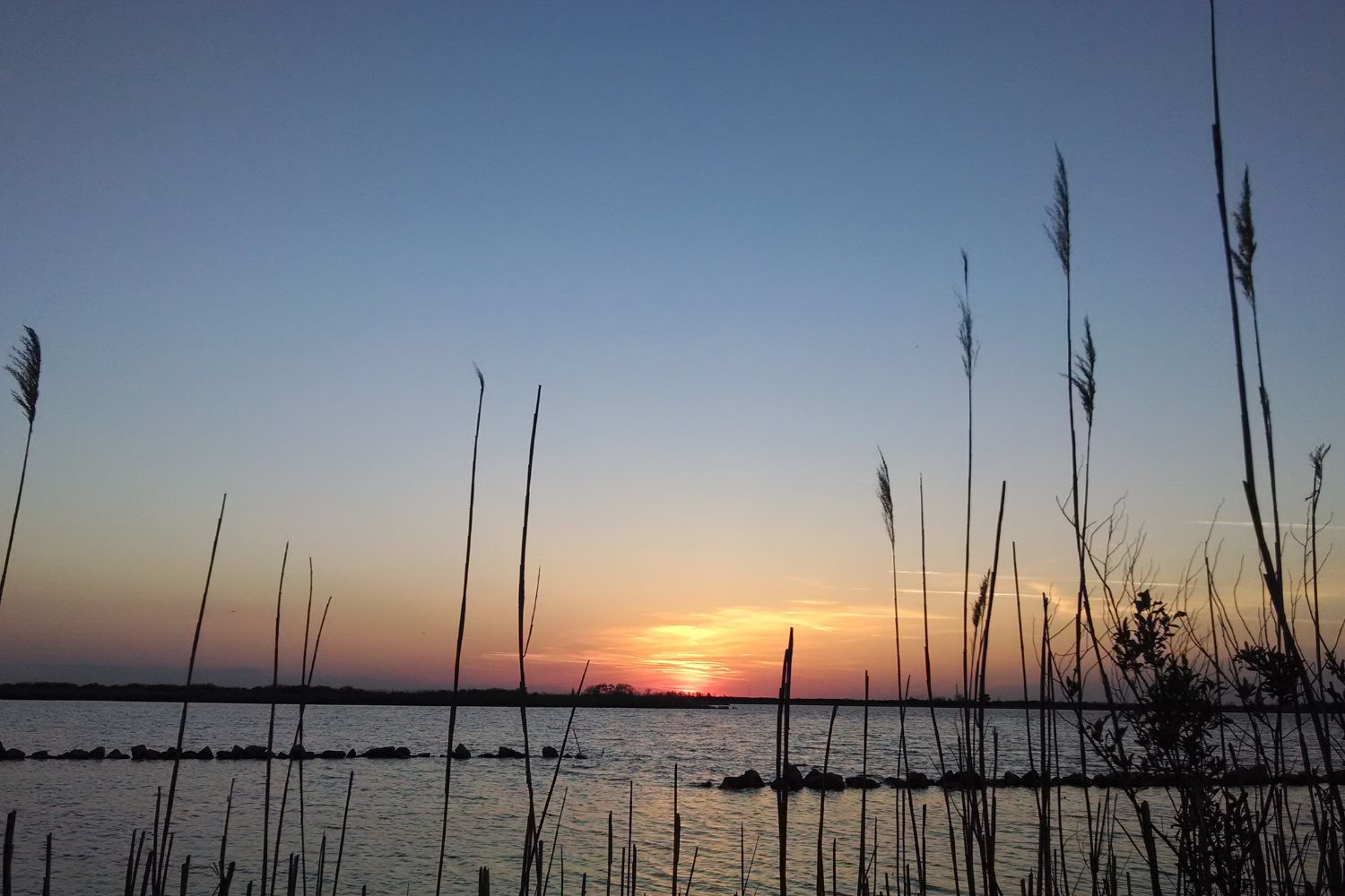 mysteries-of-virginias-back-bay