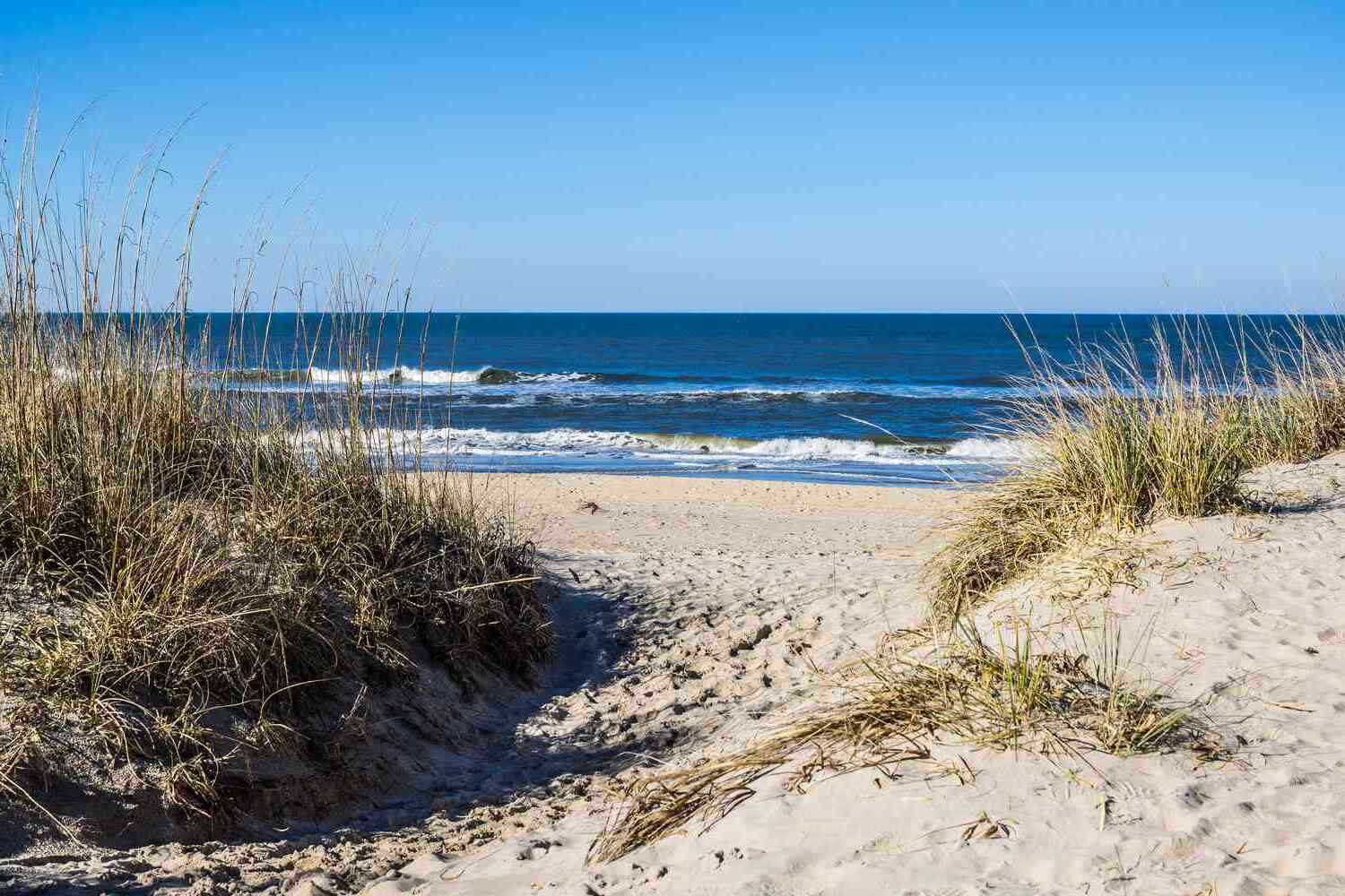 mysteries-of-virginias-coastal-plain