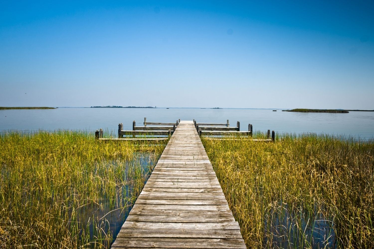 mysteries-of-virginias-false-cape