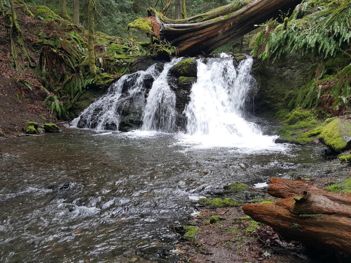 Mysteries-Of-Washington8217s-Cascades-Waters mysteries-of-washingtons-cascades-waters