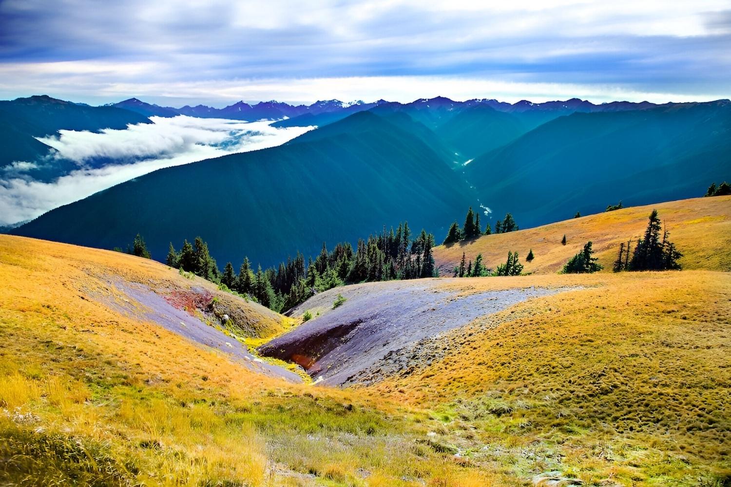 mysteries-of-washingtons-hurricane-ridge