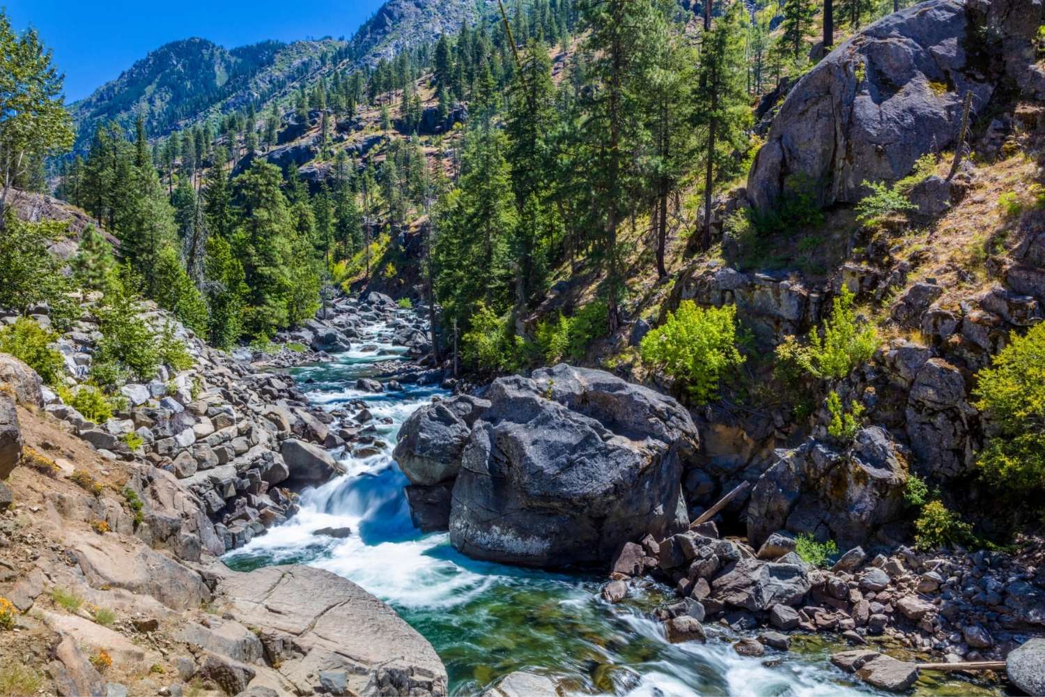 Mysteries-Of-Washington8217s-Icicle-Creek mysteries-of-washingtons-icicle-creek