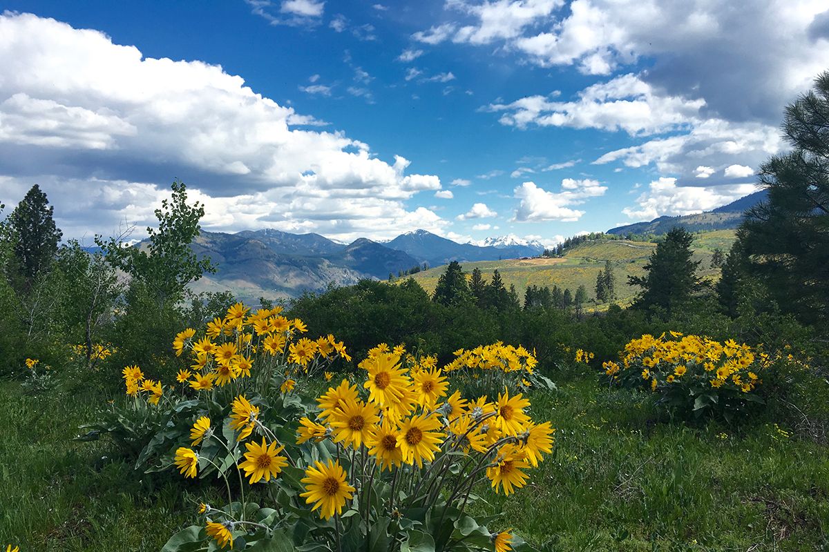 mysteries-of-washingtons-methow
