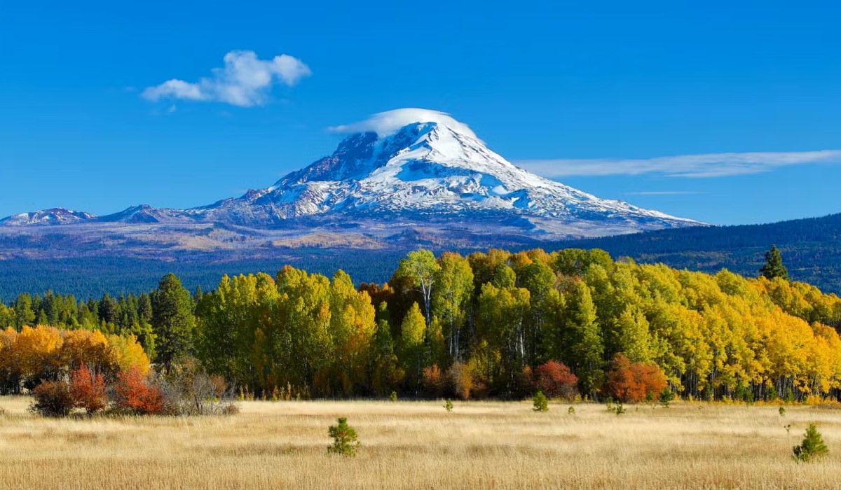 Mysteries-Of-Washington8217s-Mount-Adams mysteries-of-washingtons-mount-adams