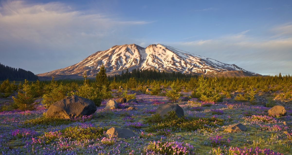 Mysteries-Of-Washington8217s-Mount-St-Helens mysteries-of-washingtons-mount-st-helens
