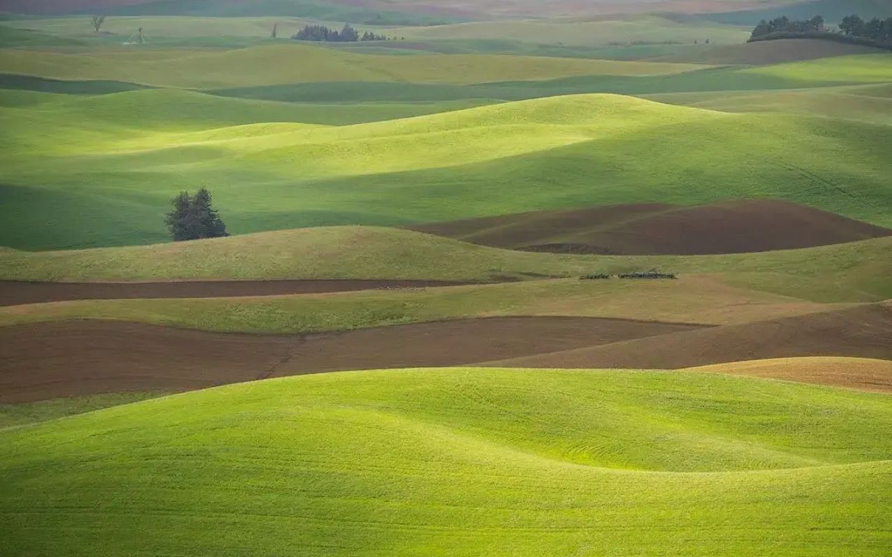 Mysteries-Of-Washington8217s-Palouse-Prairie mysteries-of-washingtons-palouse-prairie