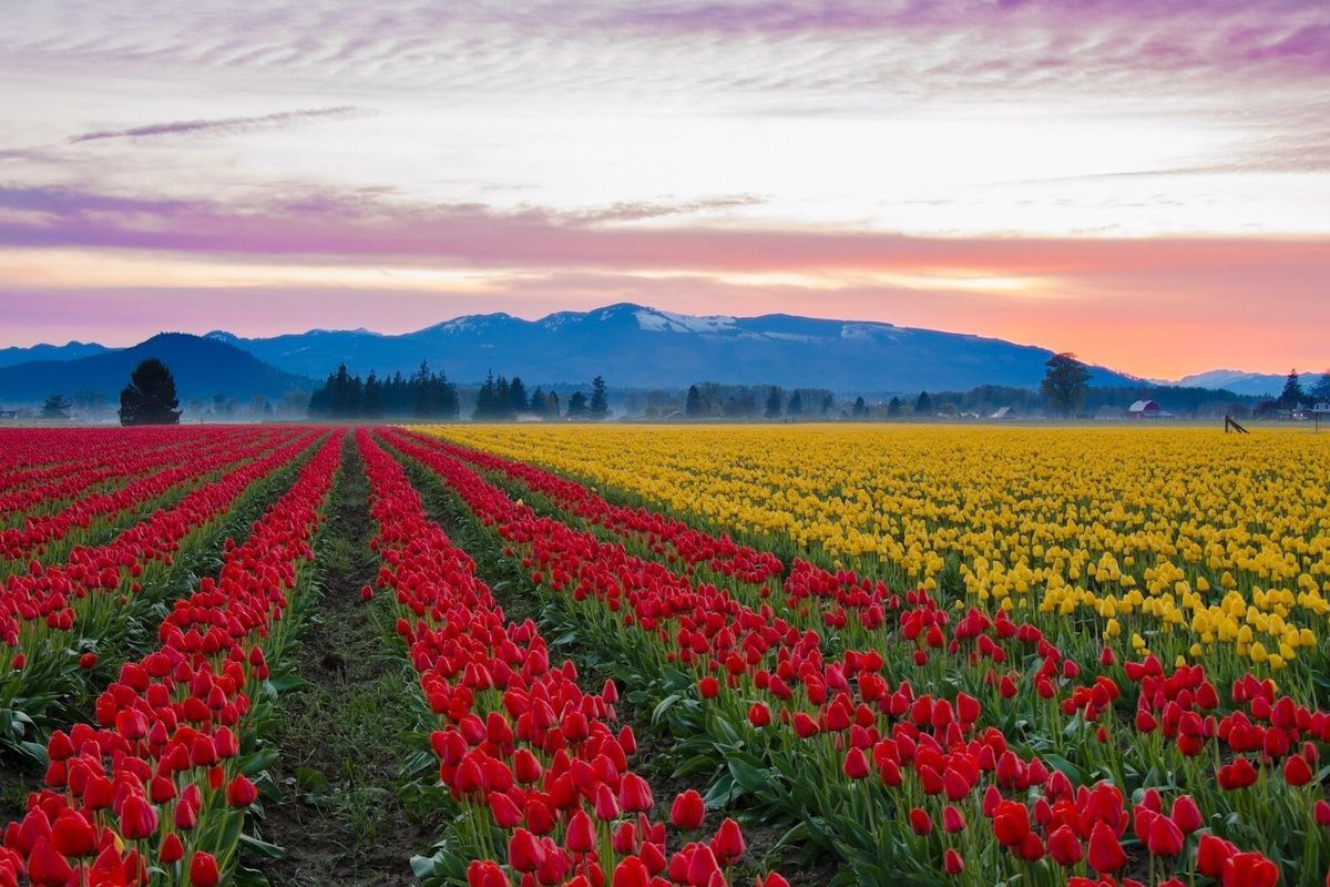 mysteries-of-washingtons-skagit-valley