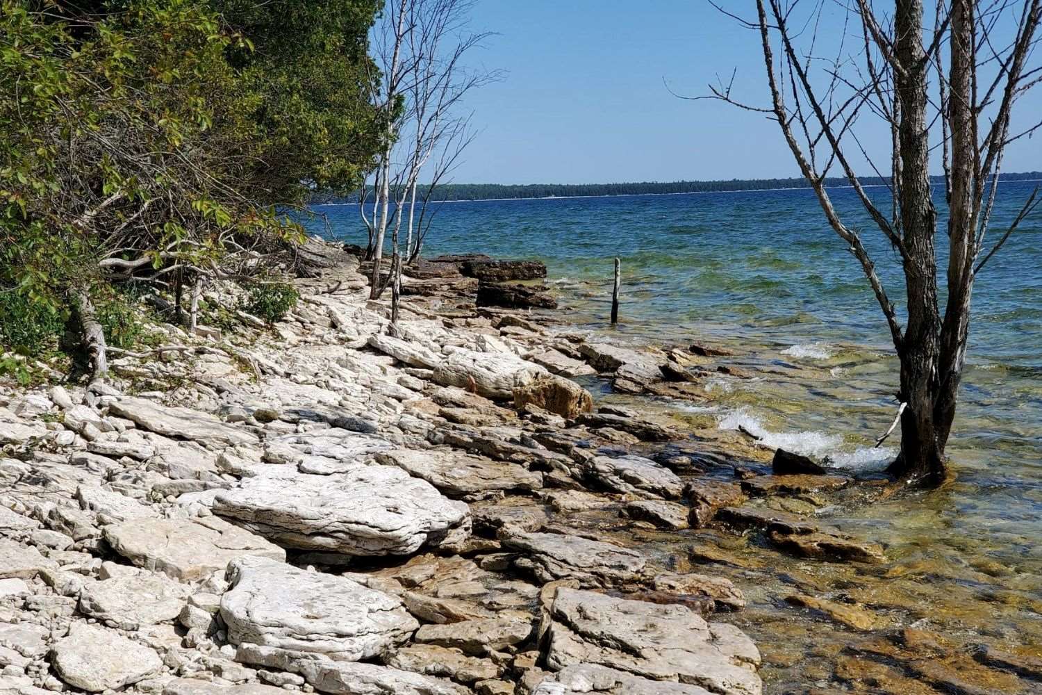 Mysteries-Of-Wisconsin8217s-Newport-Trails mysteries-of-wisconsins-newport-trails