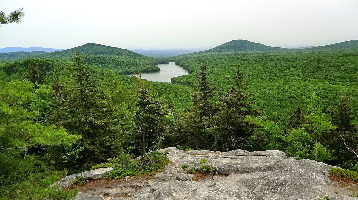 Mysteries-Within-Vermont8217s-Groton-Forest mysteries-within-vermonts-groton-forest