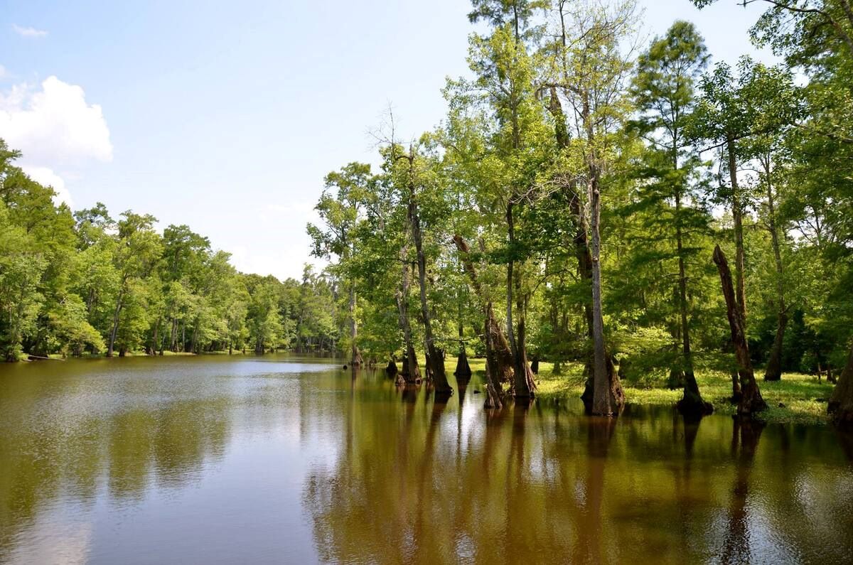 Mystery-Lakes-Of-Mississippi8217s-Pascagoula mystery-lakes-of-mississippis-pascagoula