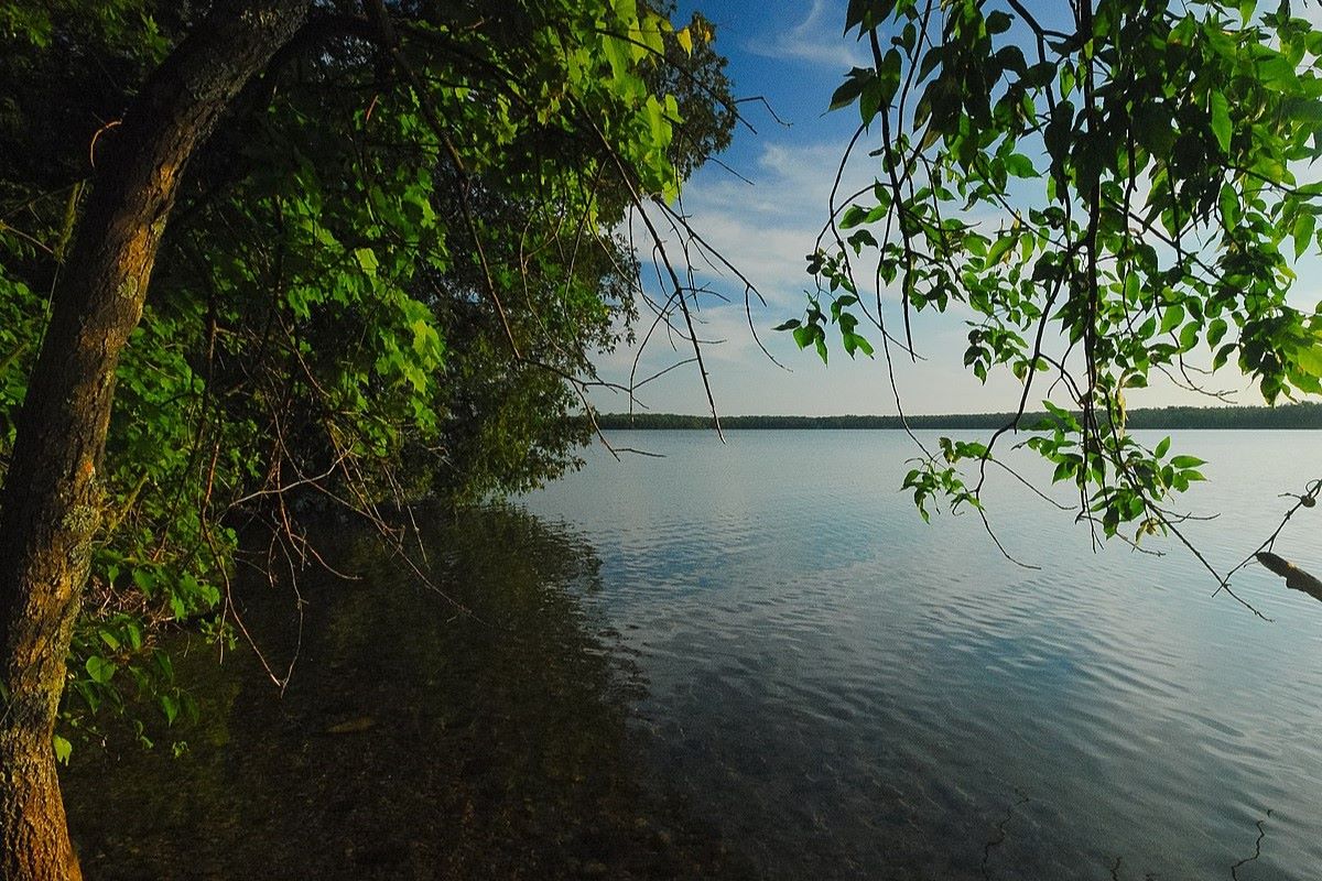 Mystery-Lakes-Of-Wisconsin8217s-Europe-Bay mystery-lakes-of-wisconsins-europe-bay