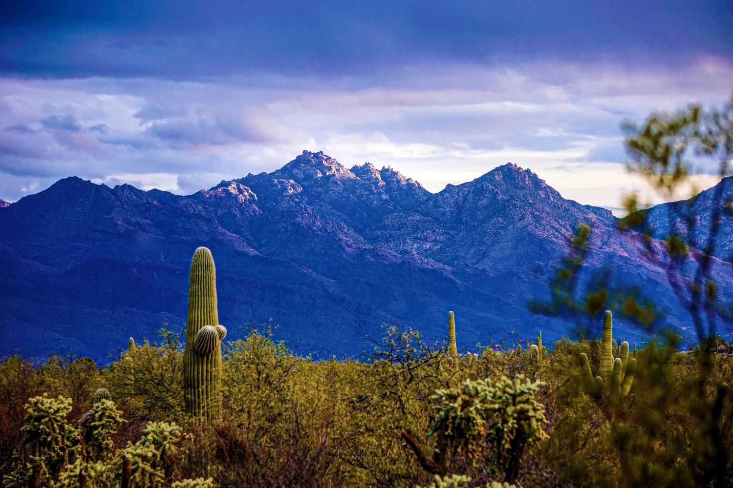 mystery-of-arizonas-catalina-peak-storms